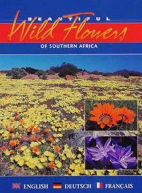 Beautiful Wild Flowers of South Africa
