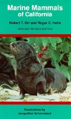 Marine Mammals of California