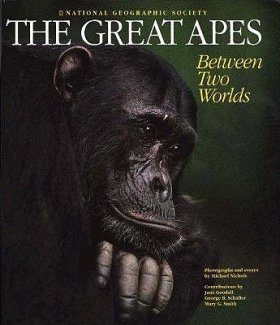 The Great Apes