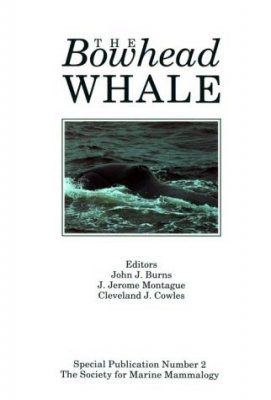 The Bowhead Whale