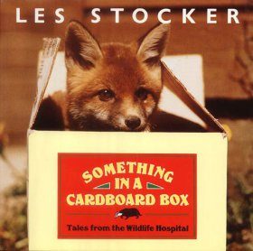 Something in a Cardboard Box