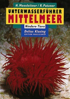 Unterwasserführer Mittelmeer: Niedere Tiere