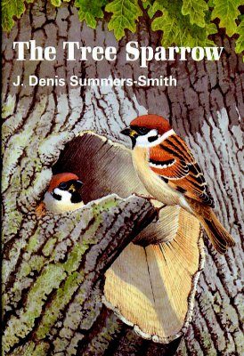 The Tree Sparrow