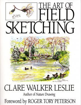 The Art of Field Sketching