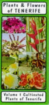 Plants and Flowers of Tenerife
