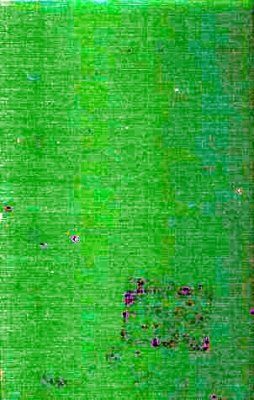 Environmental Gore: A Constructive Response to the Earth in Balance