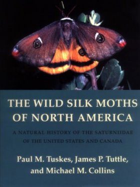 The Wild Silk Moths of North America