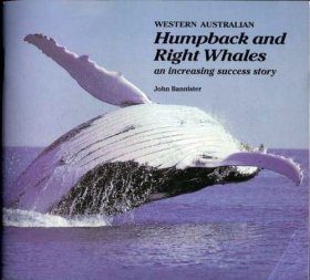 Western Australia's Humpback and Right Whales
