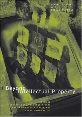 Beyond Intellectual Property