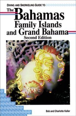 Diving and Snorkeling Guide to The Bahamas