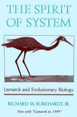 The Spirit of System