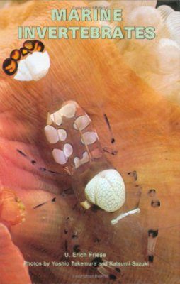 Marine Invertebrates
