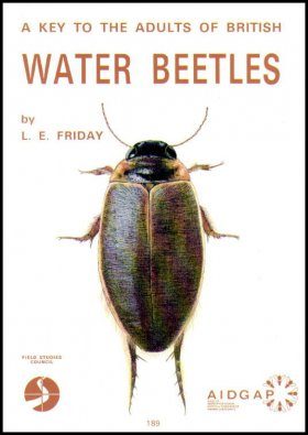 A Key to the Adults of British Water Beetles