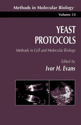Yeast Molecular Biology Protocols