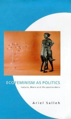 Ecofeminism as Politics
