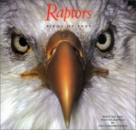 Raptors: Birds of Prey