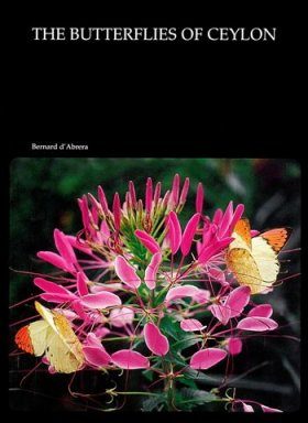 The Butterflies of Ceylon