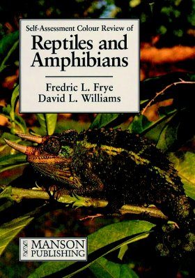 Reptiles and Amphibians