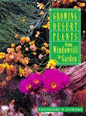 Growing Desert Plants