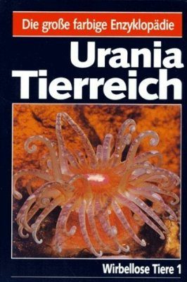 Wirbellose Tiere 1 (Invertebrates 1)