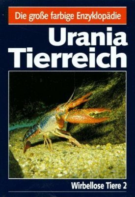 Wirbellose Tiere 2 (Invertebrates 2)