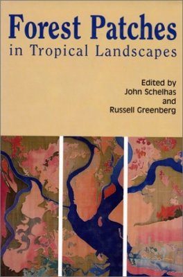 Forest Patches in Tropical Landscapes
