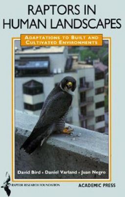 Raptors in Human Landscapes