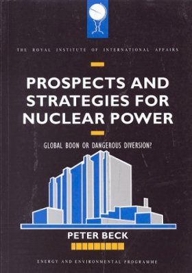 Prospects and Strategies for Nuclear Power