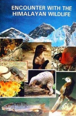 Encounter with the Himalayan Wildlife