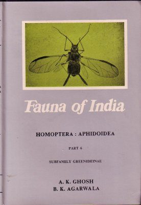The Fauna of India and the Adjacent Countries: Homoptera, Aphidoidea, Part 6