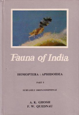 Fauna of India and the Adjacent Countries: Homoptera: Aphidoidea, Part 5