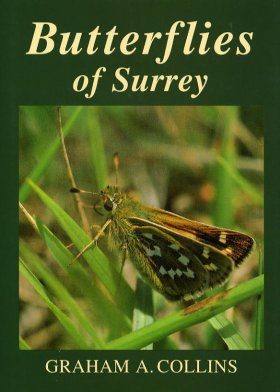 Butterflies of Surrey