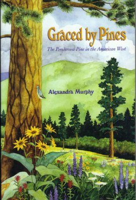 Graced by Pines