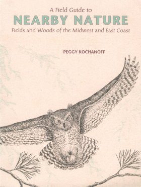 A Field Guide to Nearby Nature