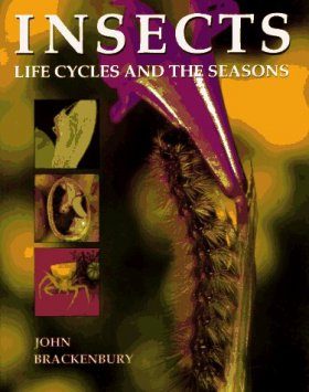 Insects: Life Cycles and the Seasons