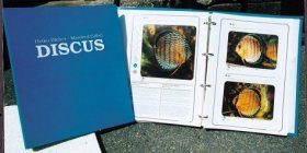 Discus