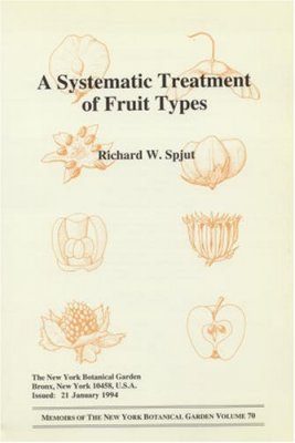 Systematic Treatment of Fruit Types