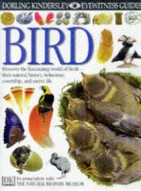 Eyewitness Guide: Bird