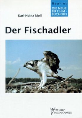 Der Fischadler (Osprey)