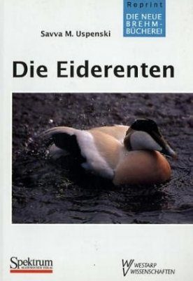 Die Eiderenten (Eider)