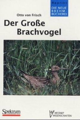 Der Große Brachvogel (Eurasian Curlew)