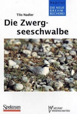 Die Zwergeeschwalbe: Sterna Albifrons