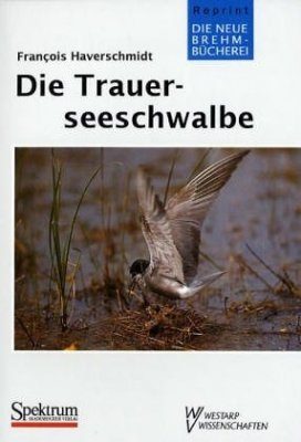 Die Trauerseeschwalbe (Black Tern)