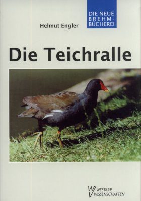 Die Teichralle
