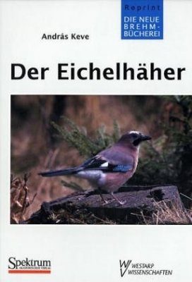 Der Eichelhäher (Eurasian Jay)