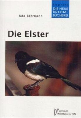 Die Elster (Magpie)