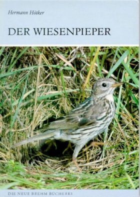 Der Wiesenpieper (Meadow Pipit)