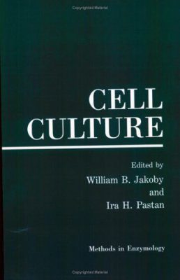 Cell Culture