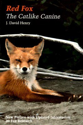 Red Fox