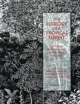 The Ecology of a Tropical Forest